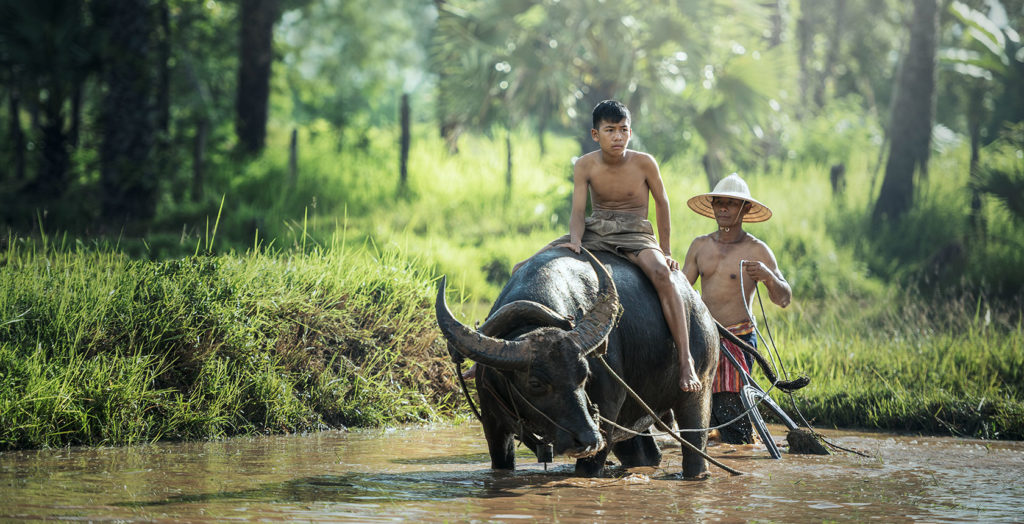 Cambodia