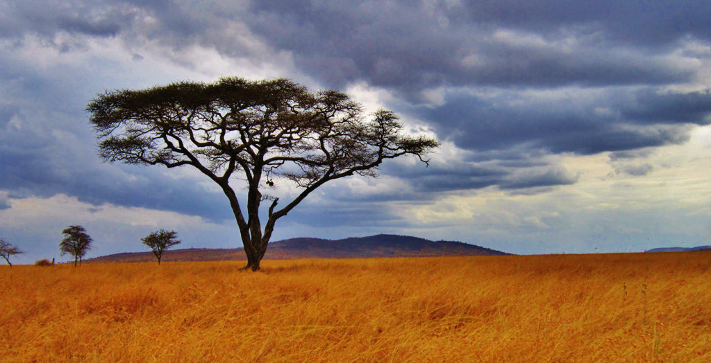 Tanzania