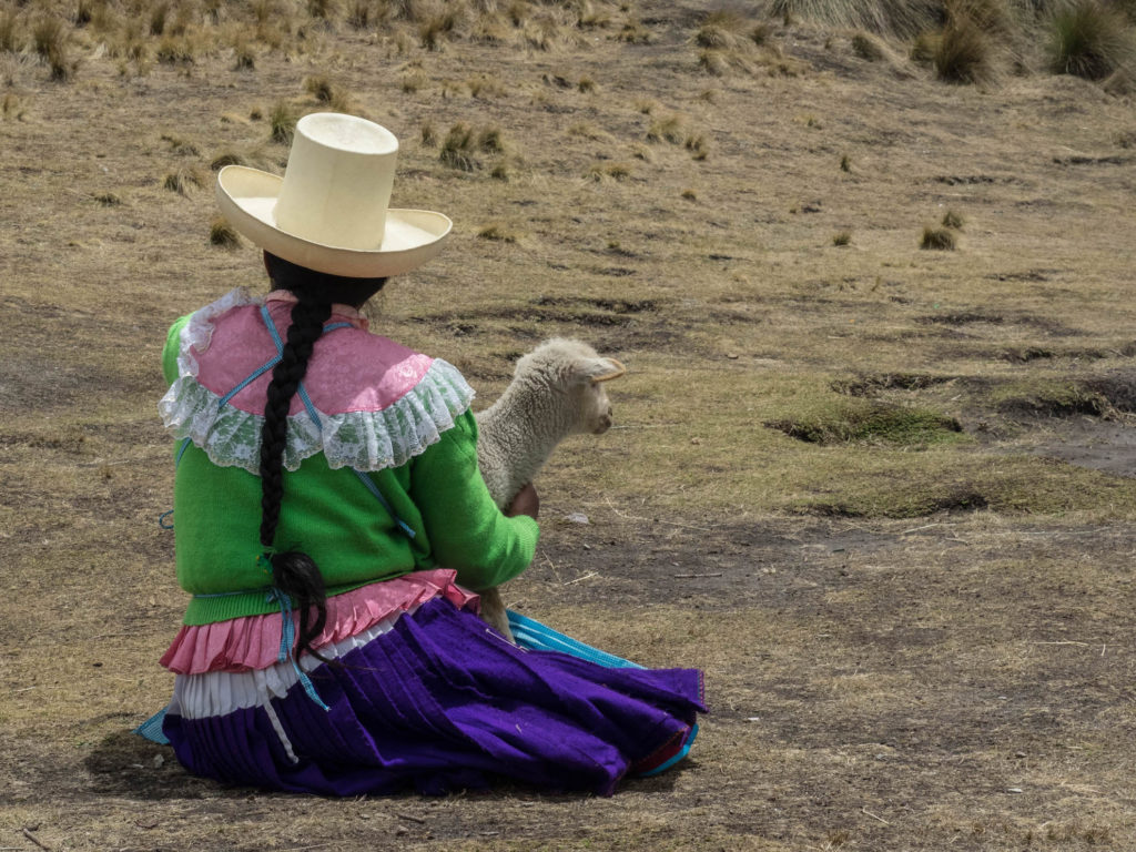 Peru - 1458 - Woman with baby alpaca