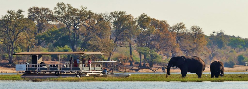 Botswana - Chobe River Front - 1553 - River View Lodge