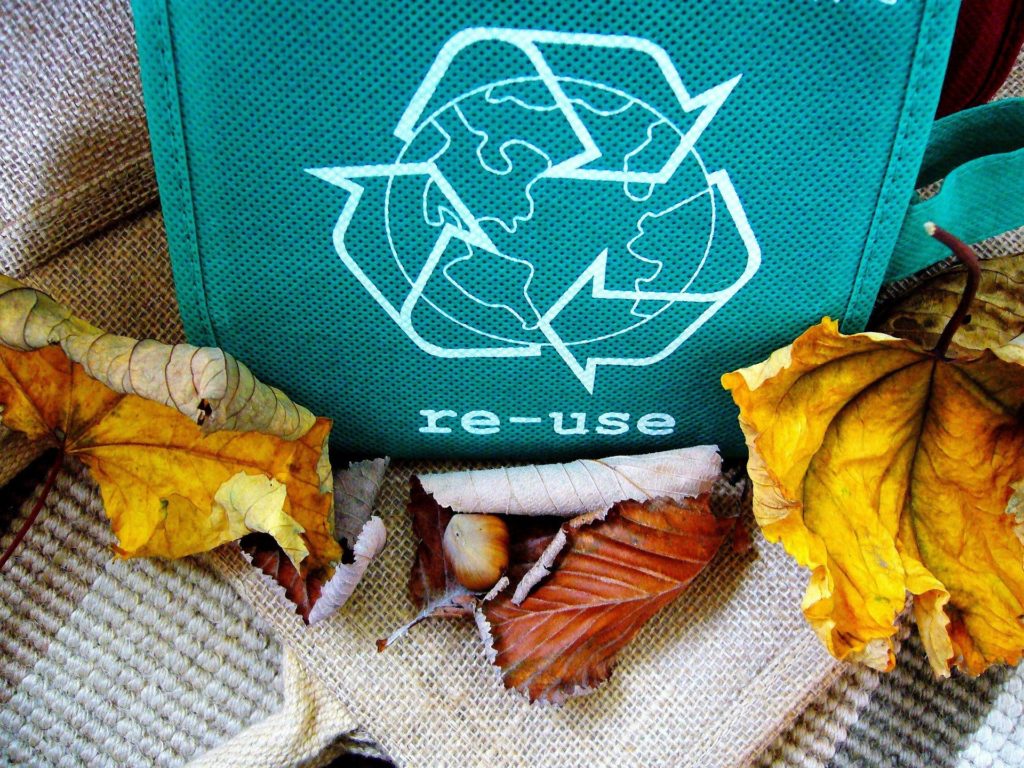 Recycle - Circular Economy Article