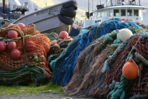 Commercial Fishing and Climate Collapse