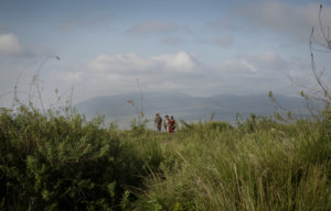 Top 4 Reasons to Visit Tanzania’s Ngorongoro Conservation Area