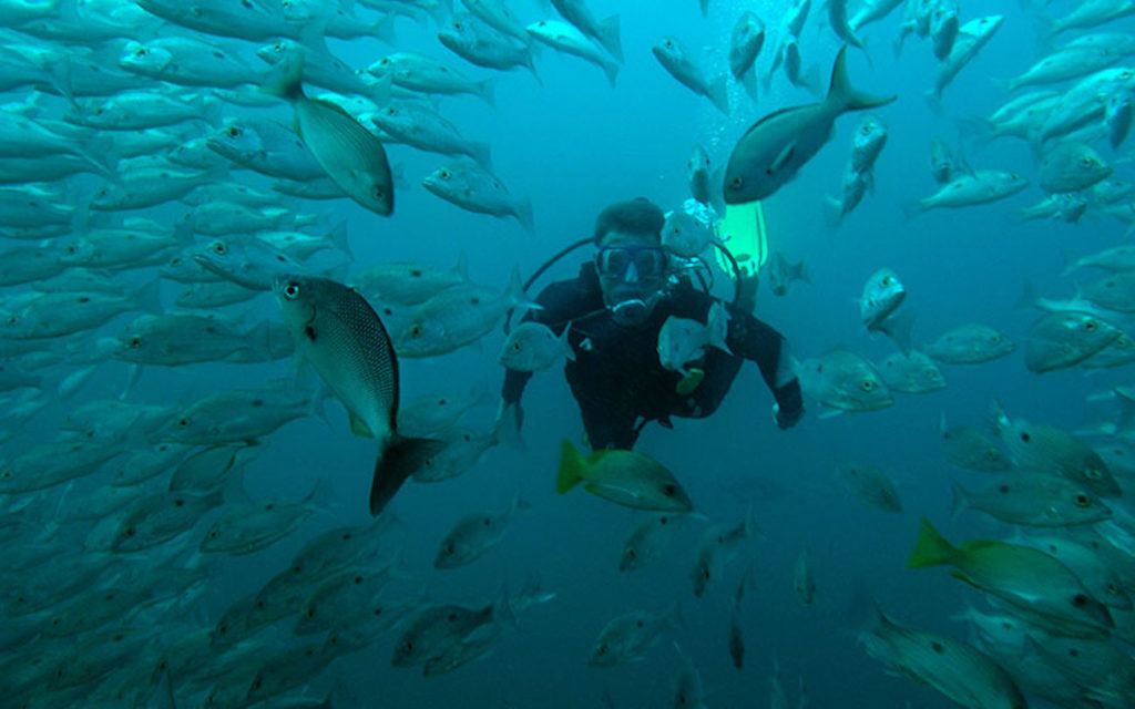 Scuba Diving in Costa Rica