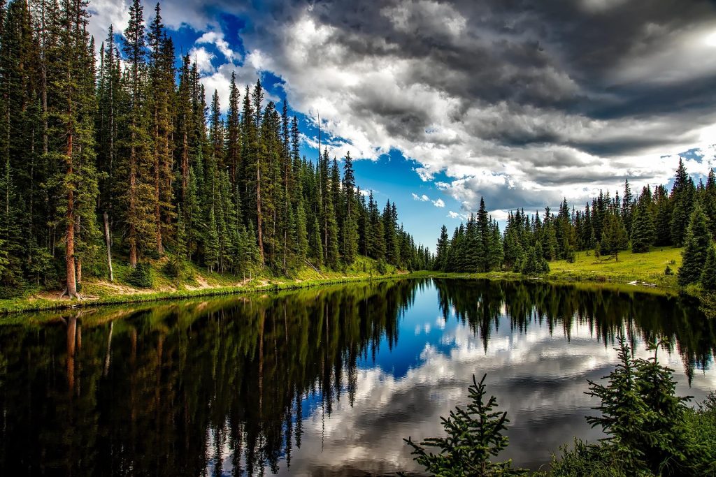 Calm forest lake reflecting evergreen trees and dramatic clouds in the sky