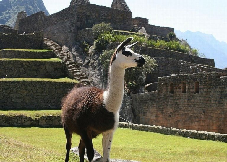 Peru - Historical Sites 03