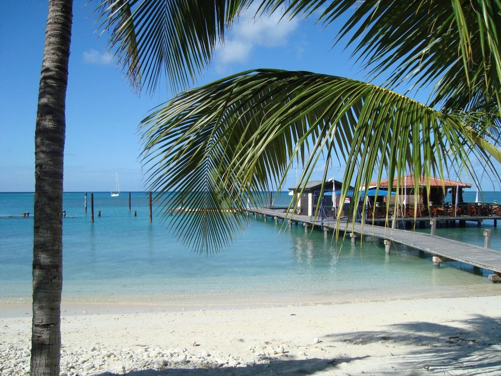 Tropical beach in Aruba with palm trees, turquoise water and a wooden jetty leading to a seaside restaurant