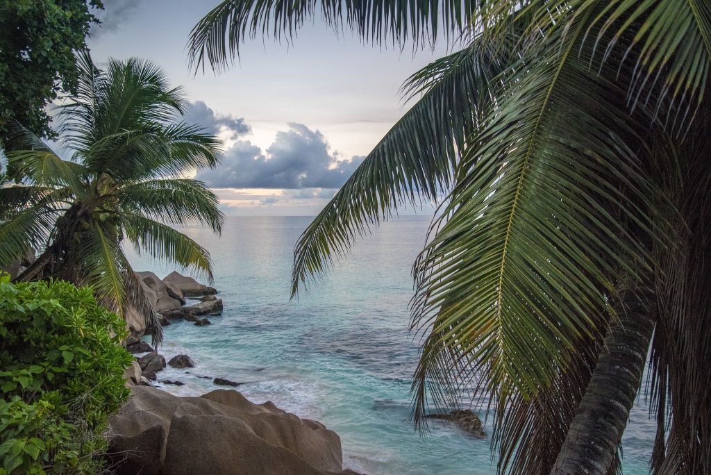 Palm-fringed tropical coastline with turquoise waters in the Seychelles