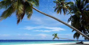 Indian Ocean Islands