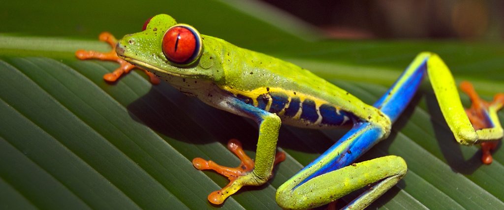 Costa Rica