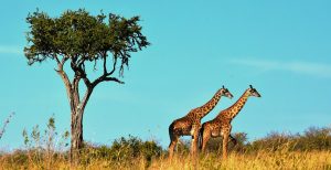 Eastern Africa