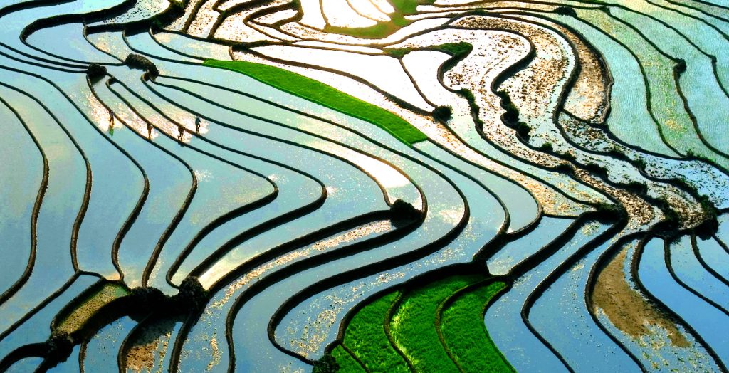 Viet Nam