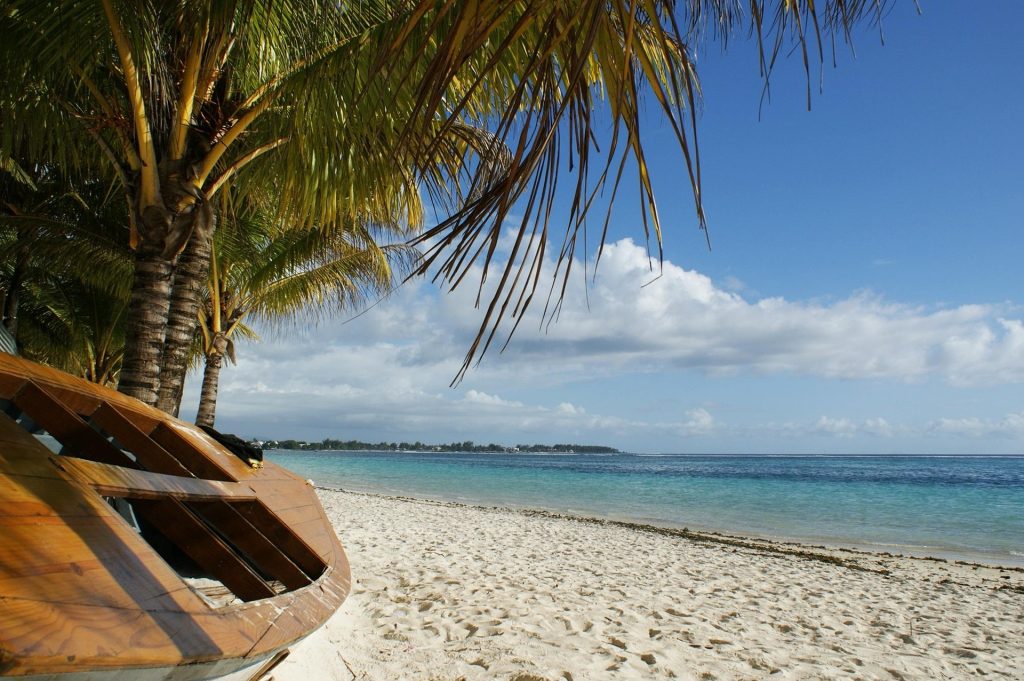 Traditional wooden boat resting beneath palm trees on a white-sand tropical beach beside turquoise ocean water