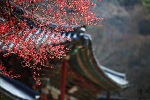 Far East Asia