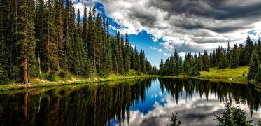 Calm forest lake reflecting evergreen trees and dramatic clouds in the sky