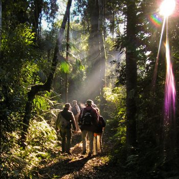 Aliwen-Incoming-Jungle-Trails-Yacutinga-Lodge-Iguazu-e1604648652938