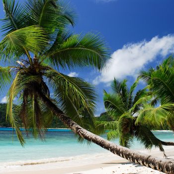 Baie-Lazare-Beach©-Raymond-Sahuquet-STB