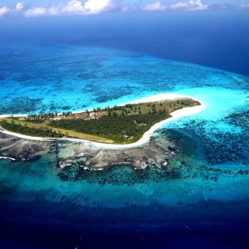 Bird-Island-©-scaled-e1624973886111