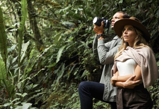 Bird-watching-in-Machu-Picchu-1559
