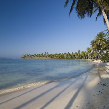 Dominican-Republic-Las-Terrenas-beach-ocean-palm-trees-san