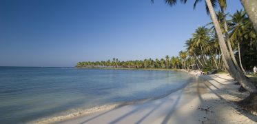 Peaceful tropical beach with palm trees on the Caribbean coast