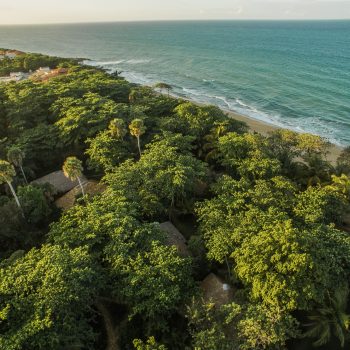 Hotel-Natura-Cabana-Forest-Ocean-Exterior-View