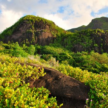 Mountains-on-Anse-Major-Trail©Gerard-Larose-STB