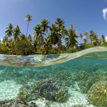 TAHAA Le Tahaa Coral Garden