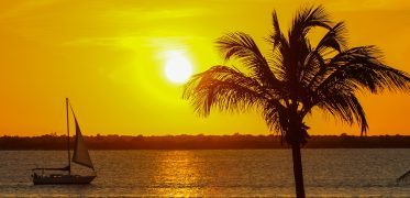Palm tree silhouetted against a golden Caribbean sunset with a sailing boat on the horizon