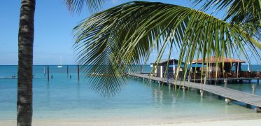 Tropical beach in Aruba with palm trees, turquoise water and a wooden jetty leading to a seaside restaurant