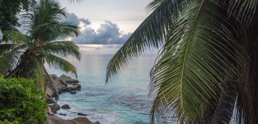 Palm-fringed tropical coastline with turquoise waters in the Seychelles