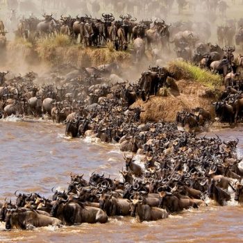 ke-migration-kenya-goog-01-1024x524-1