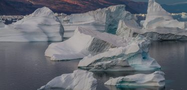 Floating icebergs in polar waters