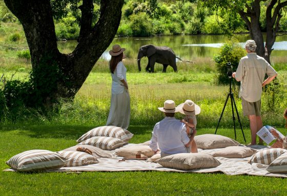 singita_castleton_family_picnic